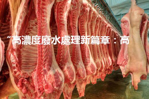 “高濃度廢水處理新篇章：高效環(huán)保，綠色以后”